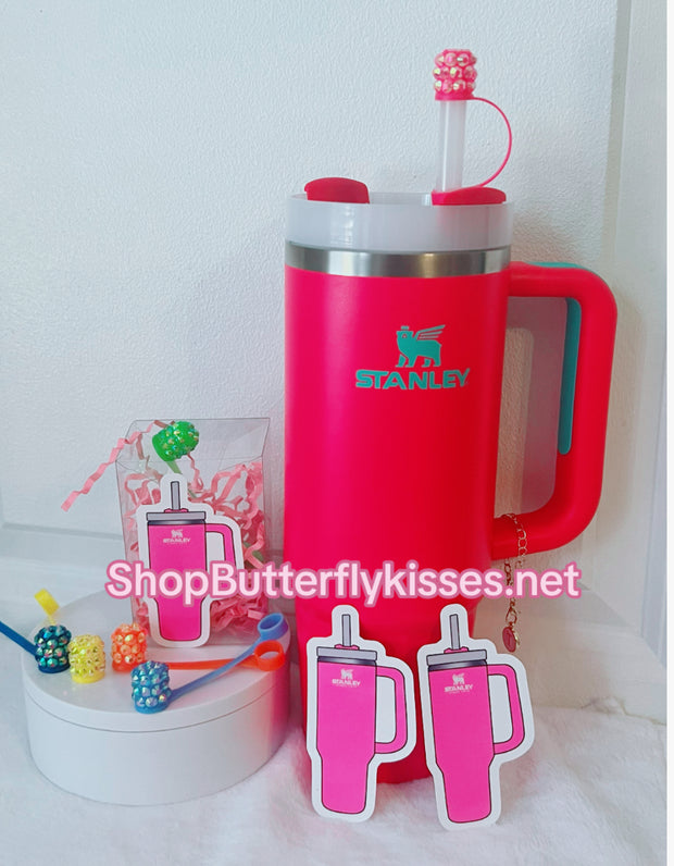 Stanley Cup Accessories