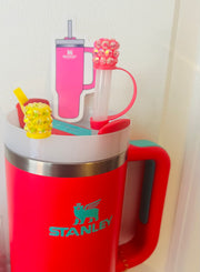 Stanley Cup Accessories