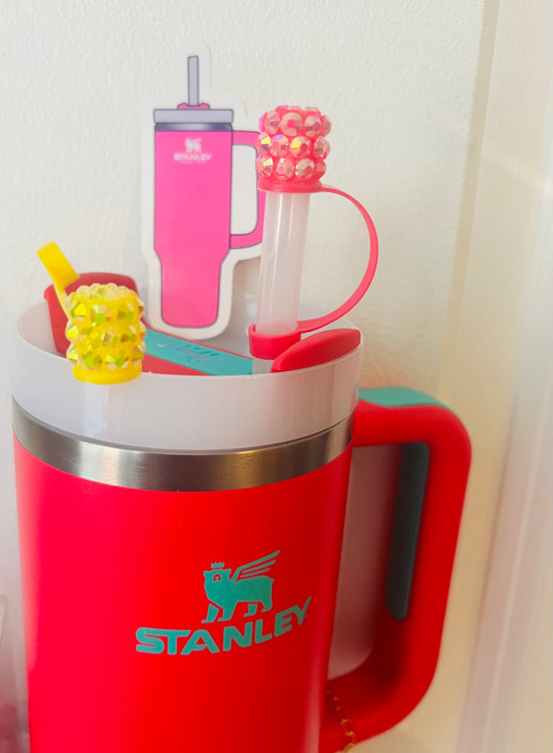 Stanley Cup Accessories